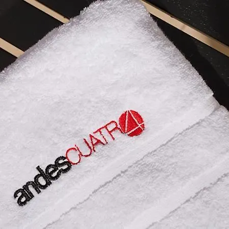 Andes Apartment Málaga